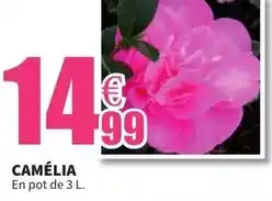 Auchan Nintedo - la console switch+ le jeu switch super mario bros wonder offre