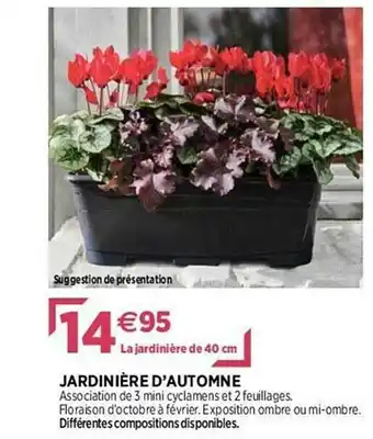Delbard Jardinière D'automne offre