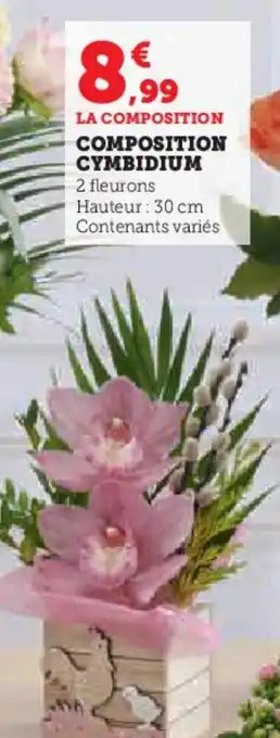 Super U COMPOSITION CYMBIDIUM offre