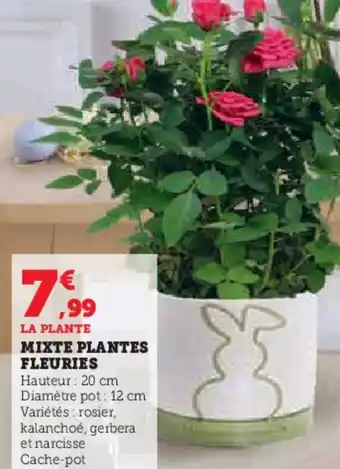 Super U MIXTE PLANTES FLEURIES offre