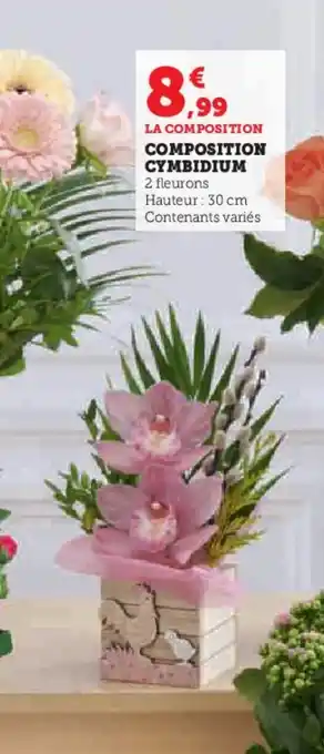 Hyper U COMPOSITION CYMBIDIUM offre