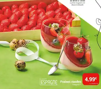 Colruyt Fraises rondes offre