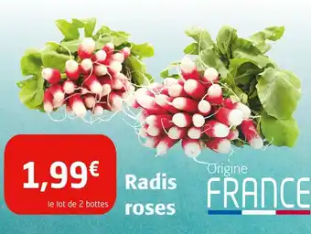 Colruyt Radis roses offre