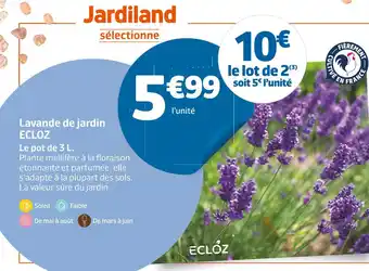 Jardiland ECLOZ Lavande de jardin offre