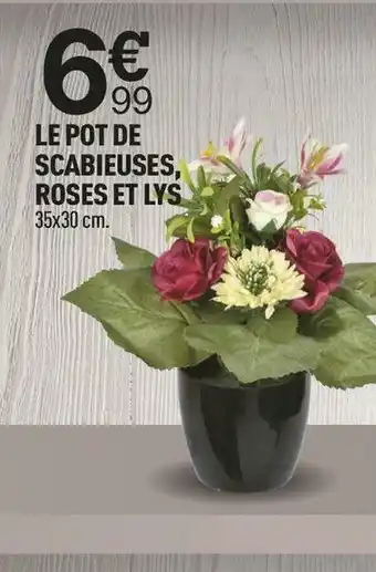 Centrakor Le pot de scabieuses, roses et lys offre