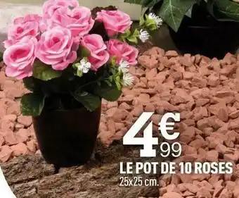 Centrakor Le pot de 10 roses offre