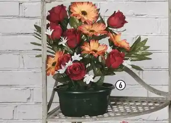 Centrakor La jardinière de roses et marguerites offre