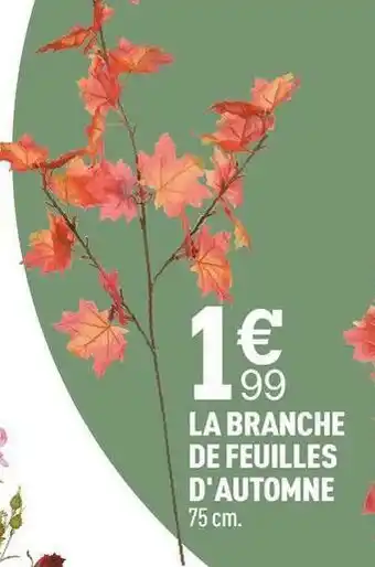 Centrakor La branche de feuilles d'automne offre