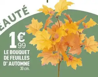 Centrakor Le bouquet de feuilles d' automne offre