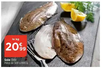 Sole (11)(R) Pièce de 300 à 800 g