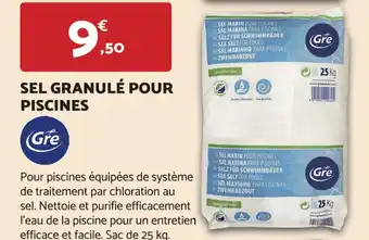 Bricomarché SEL GRANULÉ POUR PISCINES offre