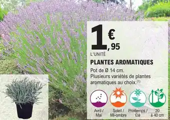 E.Leclerc Brico PLANTES AROMATIQUES offre