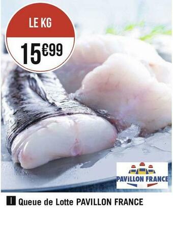 Queue de lotte pavillon france