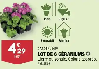 ALDI LOT DE 6 GÉRANIUMS ✪ offre