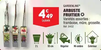 ALDI GARDENLINE® ARBUSTE FRUITIER ✪ offre