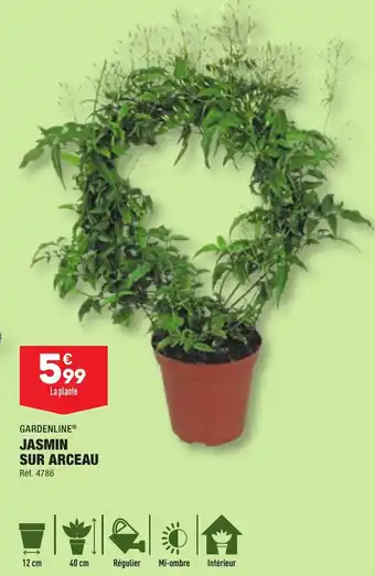 ALDI GARDENLINE® JASMIN SUR ARCEAU offre