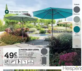 Centrakor LE PARASOL DROIT LOOMPA offre