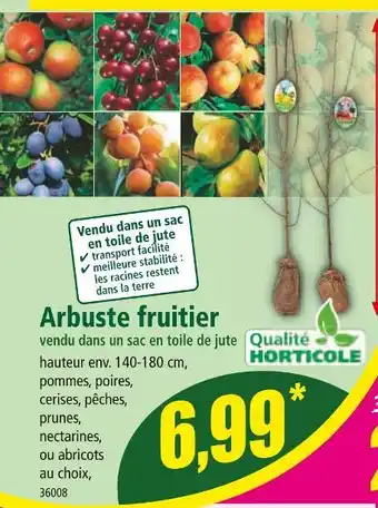 Norma Arbuste fruitier vendu dans un sac en toile de jute offre