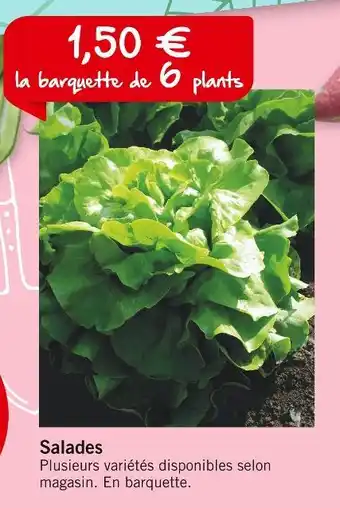 Salades