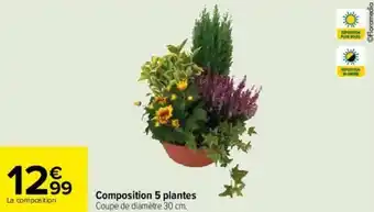 Carrefour Composition 5 plantes offre