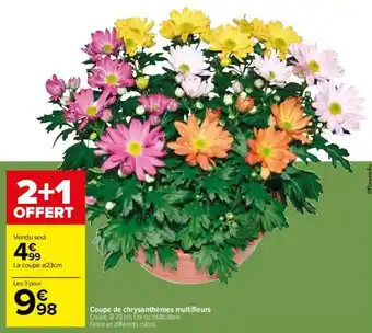 Carrefour Coupe de chrysanthèmes multifleurs offre