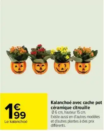 Carrefour Kalanchoé avec cache pot céramique citrouille offre