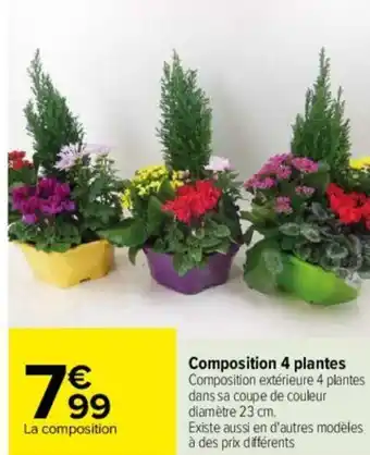 Carrefour Composition 4 plantes offre