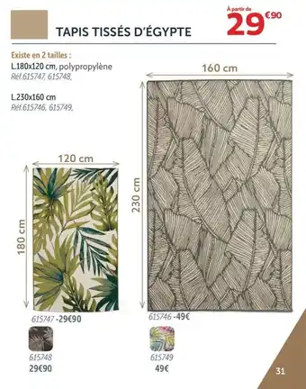 Gifi TAPIS TISSÉS D'ÉGYPTE offre