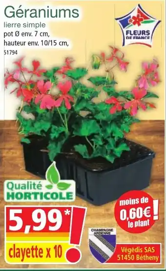 Norma Géraniums offre