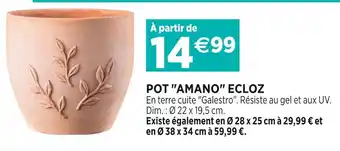 Delbard ECLOZ POT AMANO offre