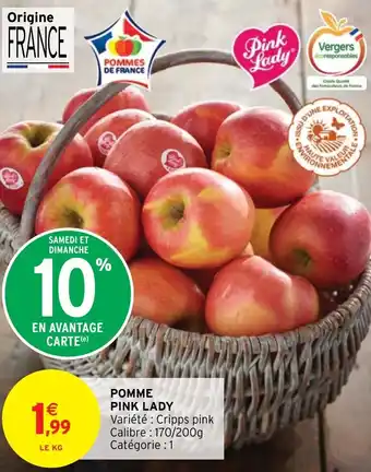 POMME PINK LADY