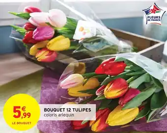 Intermarché Hyper BOUQUET 12 TULIPES offre