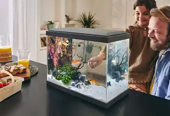 Jardiland Aquarium pour poisson Fresh 40 gris Pure Family offre