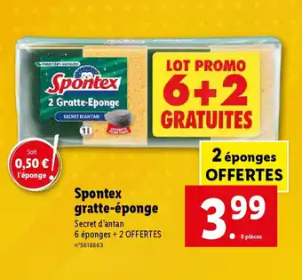 Lidl Spontex gratte-éponge offre