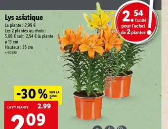 Lidl Lys asiatique offre