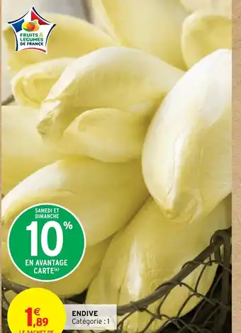 ENDIVE