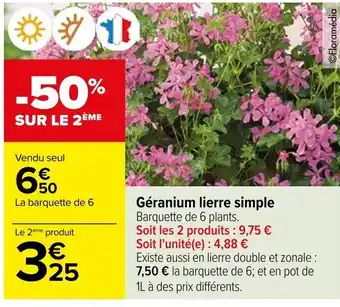 Carrefour Géranium lierre simple Barquette de 6 plants. offre