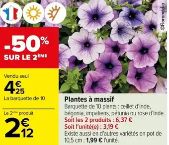 Carrefour Plantes à massif offre