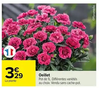 Carrefour Oeillet offre