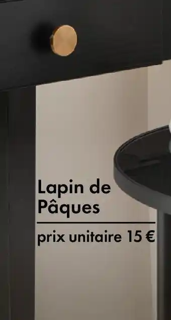 TEDi Lapin de Pâques offre