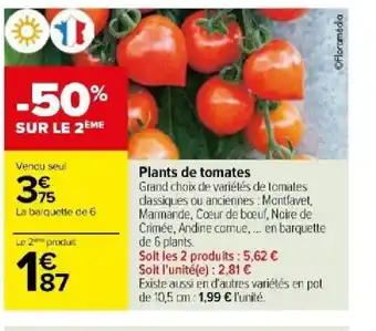 Carrefour Plants de tomates offre