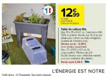 Carrefour Table de culture Rio offre