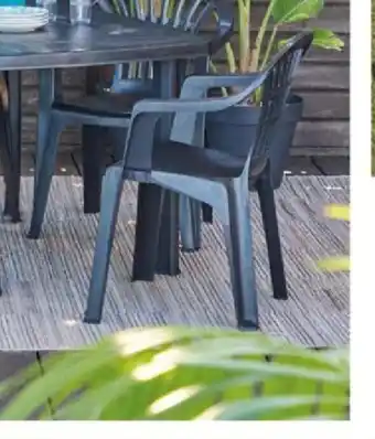 Carrefour Fauteuil Lyra offre