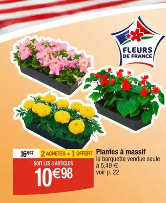 Cora x Carrefour Plantes à massif offre
