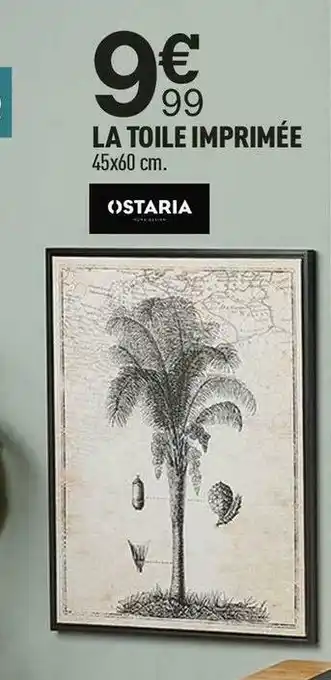 Centrakor Ostaria la toile imprimée offre
