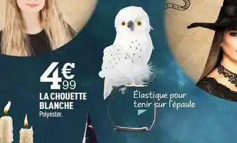 Centrakor La chouette blanche offre