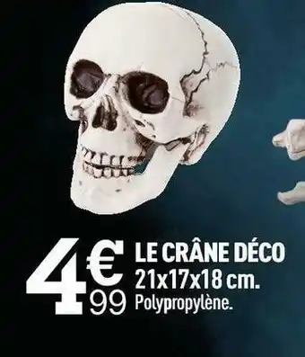 Centrakor Le crâne déco offre