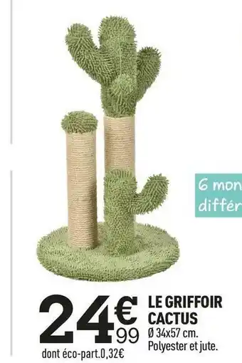 Le griffoir cactus