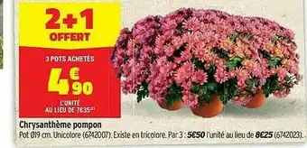 Bricorama Chrysanthème Pompon offre