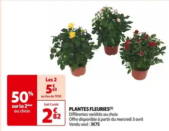 Auchan Supermarché PLANTES FLEURIES offre